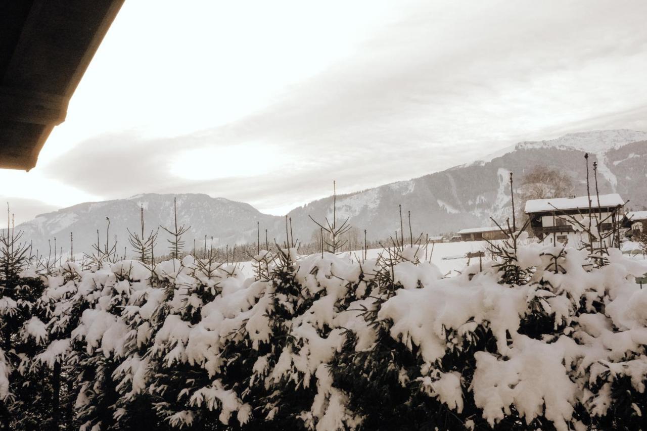 Appartement Bergblick à Saalfelden Extérieur photo