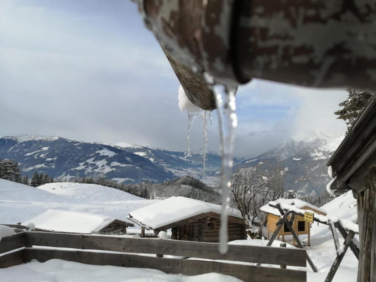 Appartement Bergblick à Saalfelden Extérieur photo