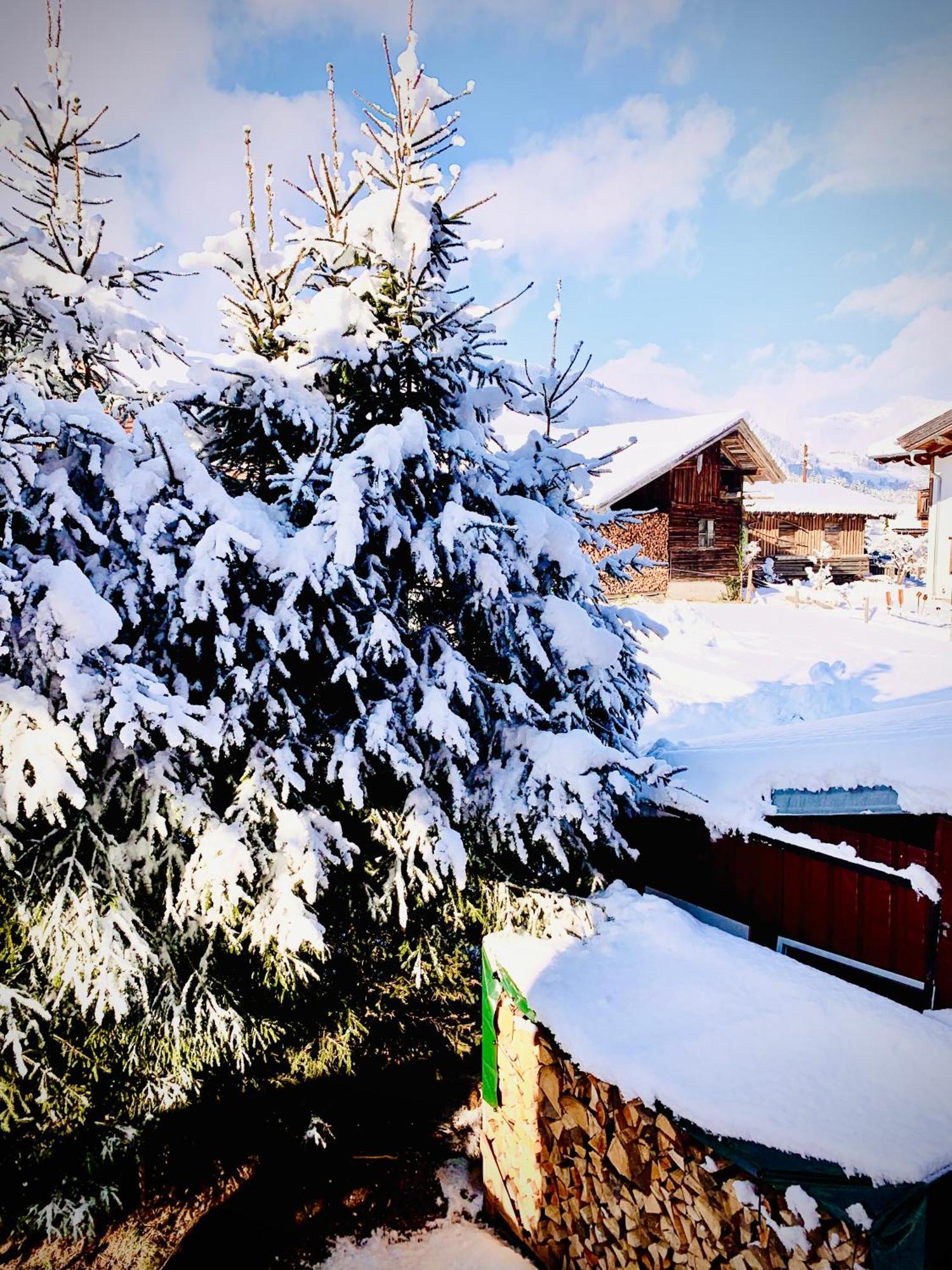 Appartement Bergblick à Saalfelden Extérieur photo